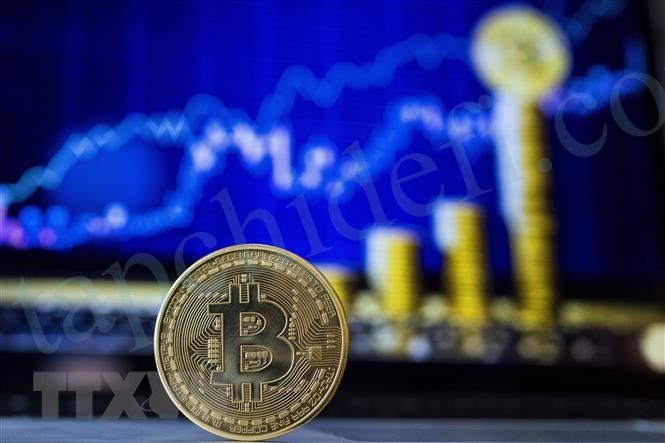 Cryptocurrency Market June 11 - Coin News