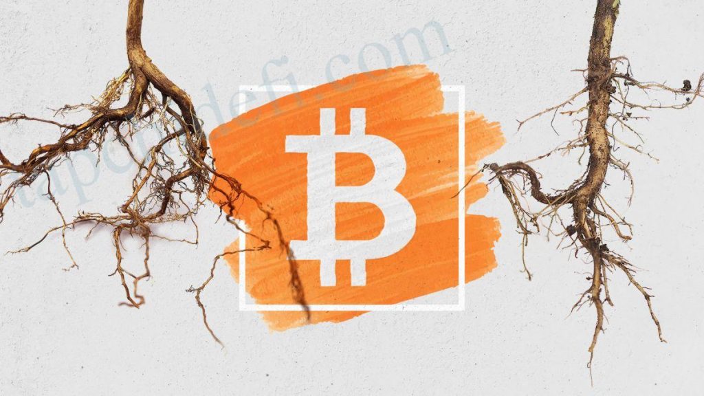 Bitcoin's Taproot Upgrade May Be Locked Up This Weekend - Coin News