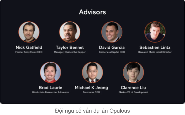 Opulous project consulting team