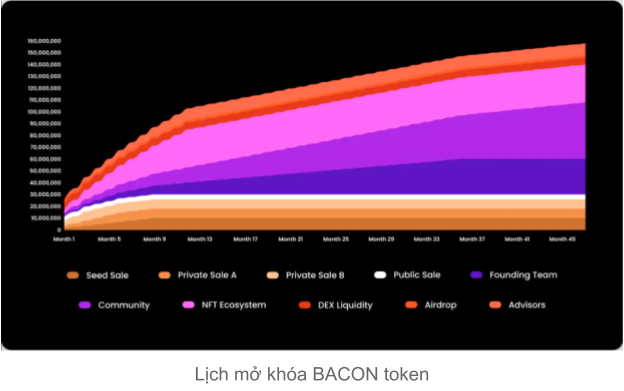 Token Release Schedule