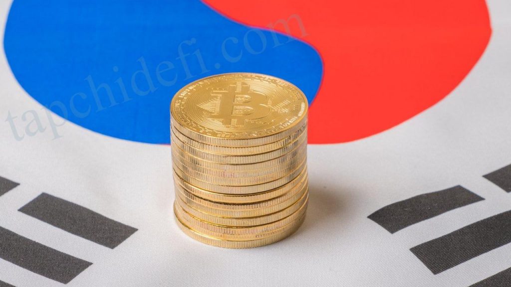 Chaos in the Korean Crypto Market Before September 24th - Coin News