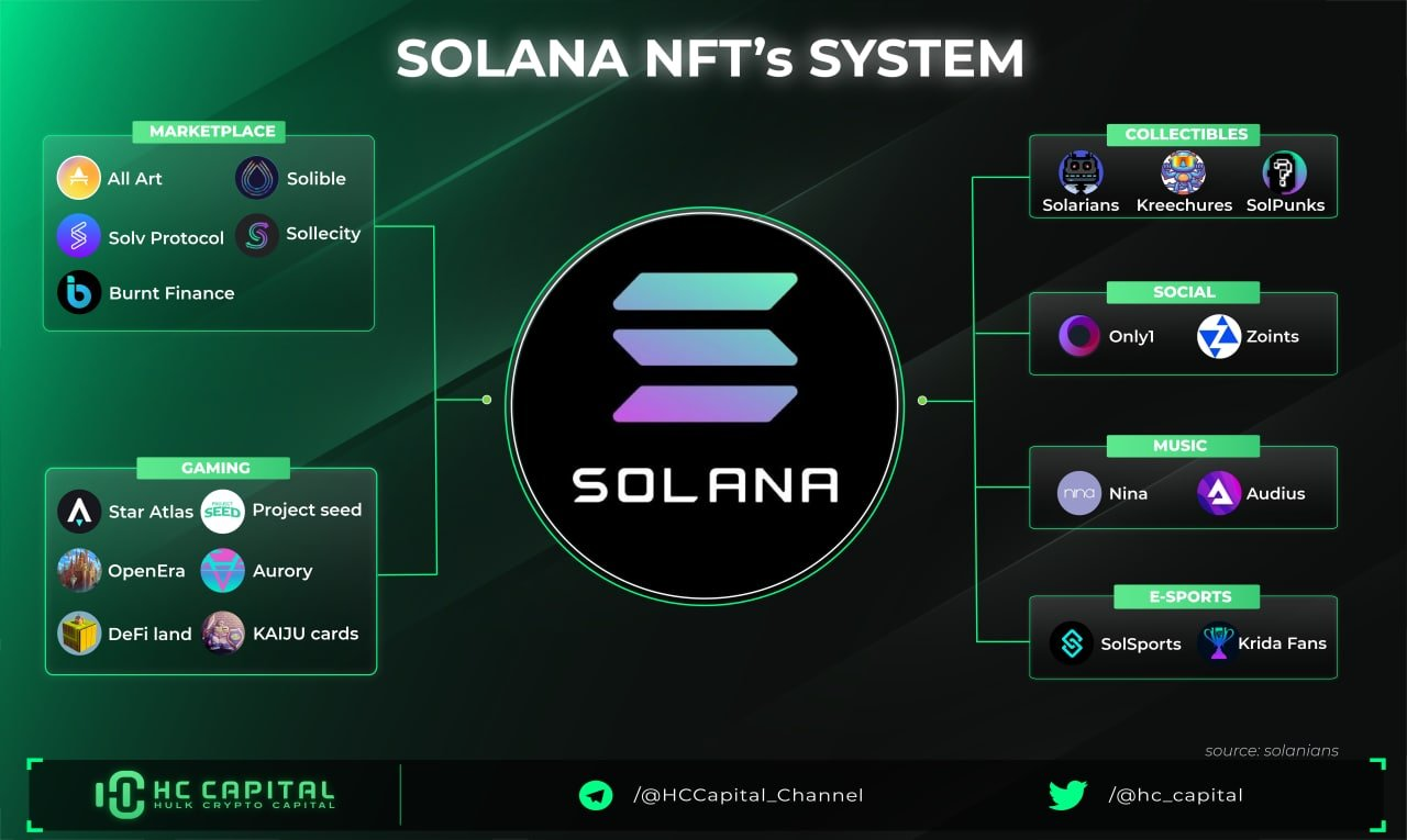 Solana NFT Ecosystem.  Source: Twitter