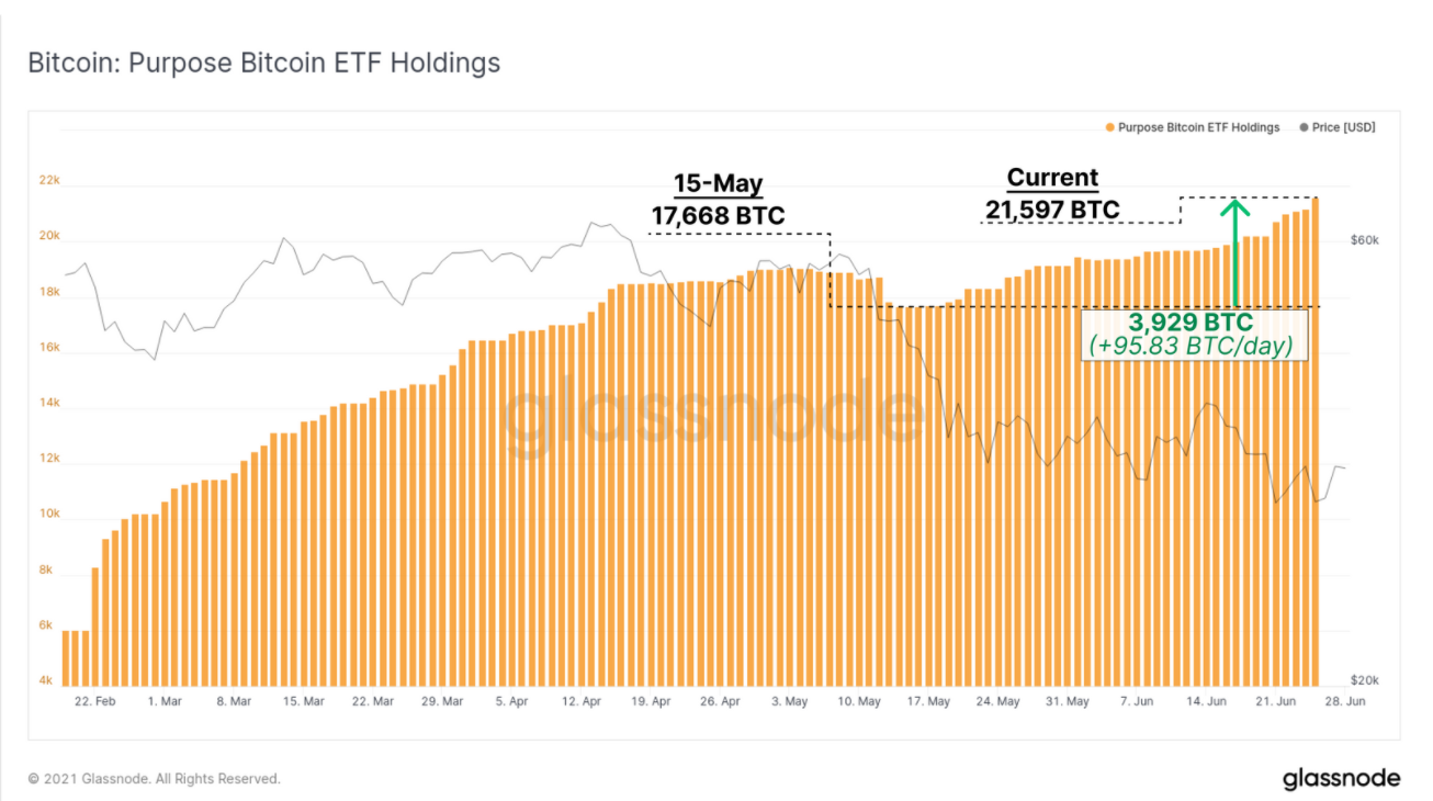 The amount of Bitcoin held by the Purpose ETF.  Source: Glassnode