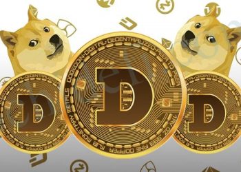 A Local New York Clothing Store Begins Accepting Dogecoin Cryptocurrency