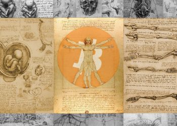 BTC Dominance: The "Da Vinci Code" of crypto investors