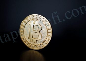 BTC Miami Conference Points Out 7 Challenges on the Road to Bitcoin Acceptance 9 BTC Miami Conference Points Out 7 Challenges on the Road to Bitcoin Acceptance