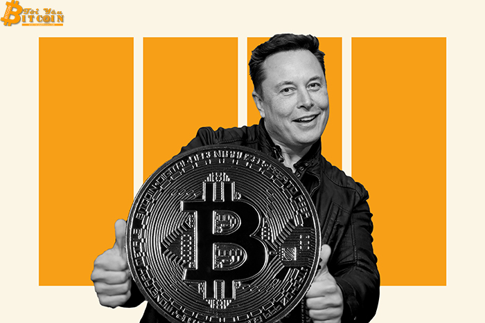 Elon Musk is looking to save Bitcoin