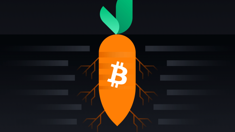 Bitcoin Taproot Upgrade