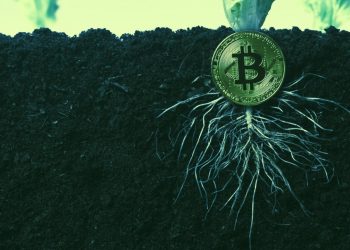 Bản nâng cấp Bitcoin Taproot được chốt lịch kích hoạt vào tháng 11