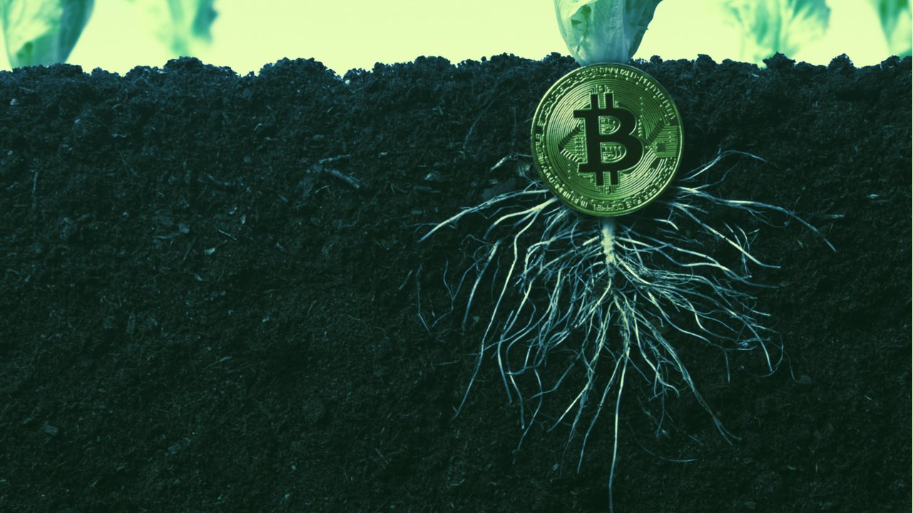 Bitcoin Taproot upgrade is scheduled to activate in November