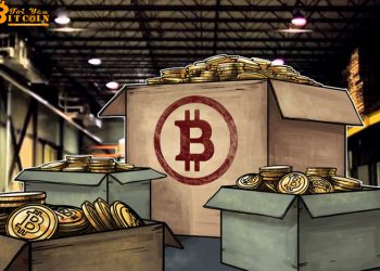 Ví có ít hơn 1 BTC chỉ chiếm 5% vốn hóa thị trường của Bitcoin