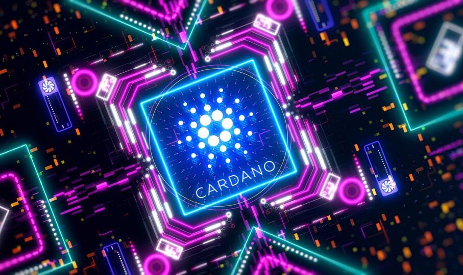 Cardano marks a new milestone when more than 650,000 wallet addresses participate in Staking