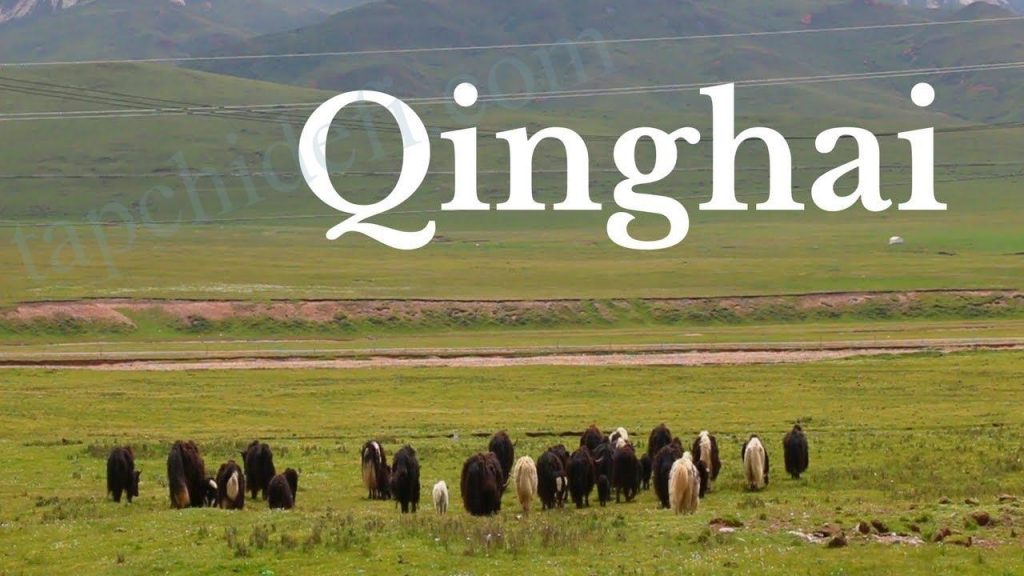 China's Qinghai Province Has Ordered All Crypto Mining Companies To Close - Coin News