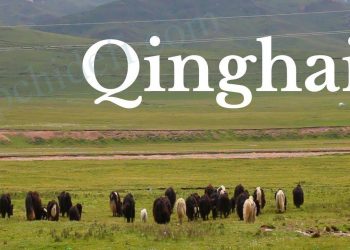 China's Qinghai Province Has Ordered All Crypto Mining Companies To Close - Coin News
