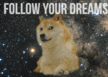 DOGE has lost over $70 billion in market capitalization: Save your dog Musk!