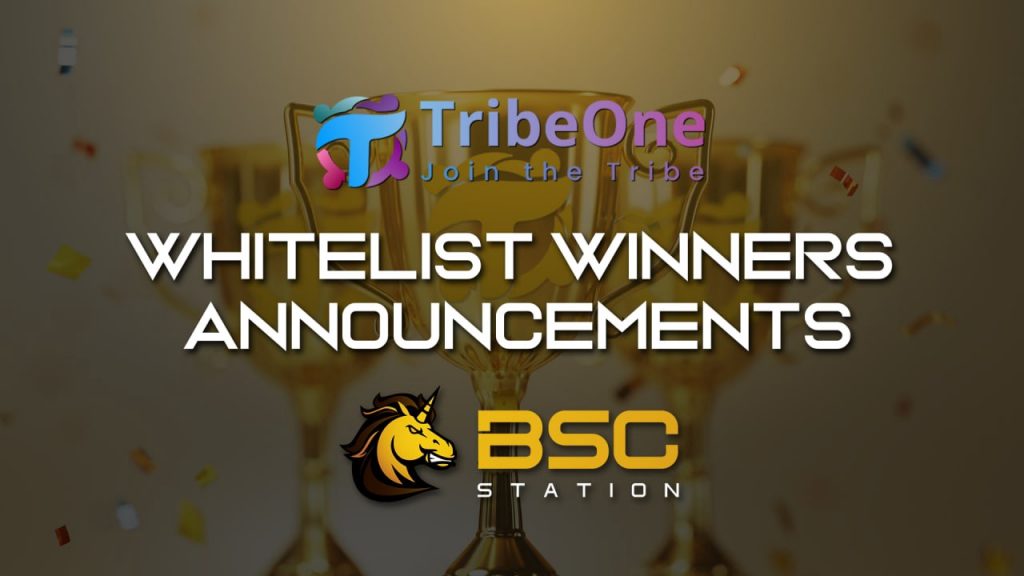 Details of the TribeOne sale on BSCSstation