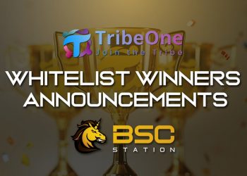 Details of the TribeOne sale on BSCSstation