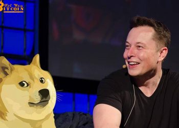 Elon Musk refers to the creator of Ethereum as a 'fear of dogs'