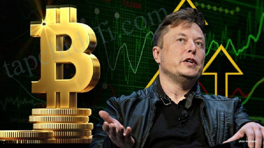 Elon Musk and China Won't Stop Bitcoin From Reaching $135,000 This Year - Cointelegraph