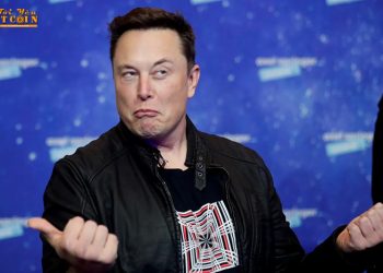 Elon Musk muốn biến Bitcoin thành vàng