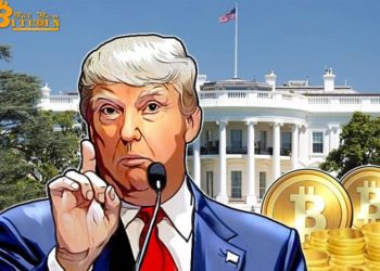 Từ khóa Bitcoin trở thành tâm điểm trên Google trước loạt tweet của Donal Trump