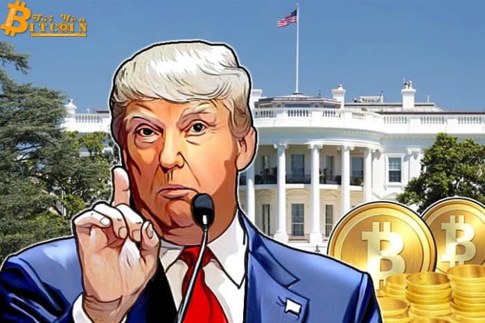 Từ khóa Bitcoin trở thành tâm điểm trên Google trước loạt tweet của Donal Trump