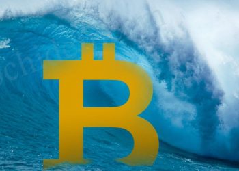 Hawaii has the biggest increase in crypto demand of any US state this year - Coin News