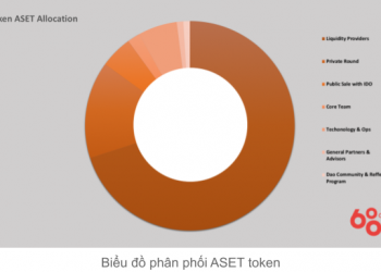 aset coin allocation diagram