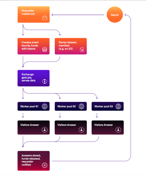 Application of the Human Protocol Q&A system