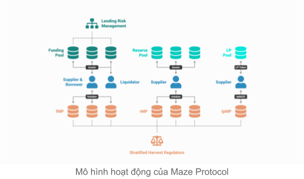 Maze's operating model