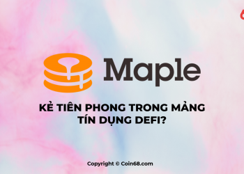 Maple Finance - A Pioneer in Corporate Credit in the DeFi Industry?