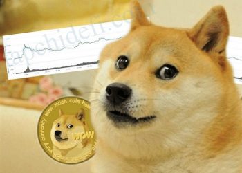 Meme Coins Among Cryptocurrencies That Have Seen Significant Drops During the Week