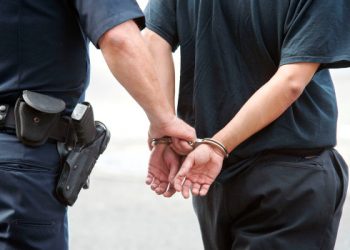 Feds bắt hàu, ngọc trai, bruno, khối