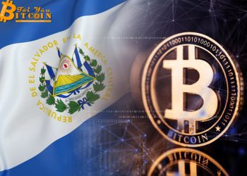 Remittance Companies Reluctant to Support Bitcoin