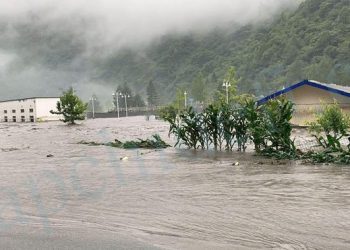 SHOULDN'T MINING COMPANY SHOULD BE BANNED IN CHINA?  - Coin News