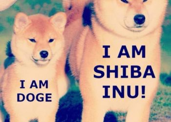 Giá Shiba Inu và Chiliz tăng mạnh sau thông báo được niêm yết trên Coinbase Pro