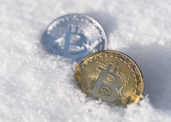 Too many whales are pushing Bitcoin to the floor, is crypto winter already?