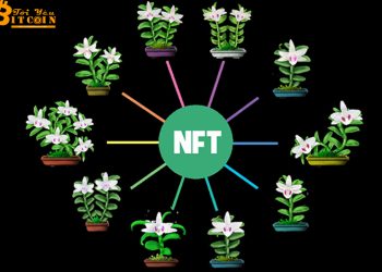 Vietnamese mutant orchids encrypted into NFT . assets