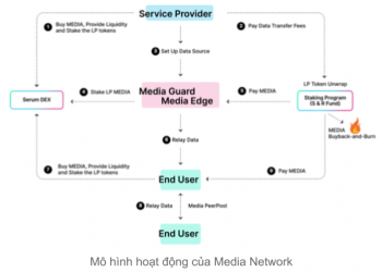 media network operating model