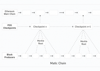 polygon network diagram