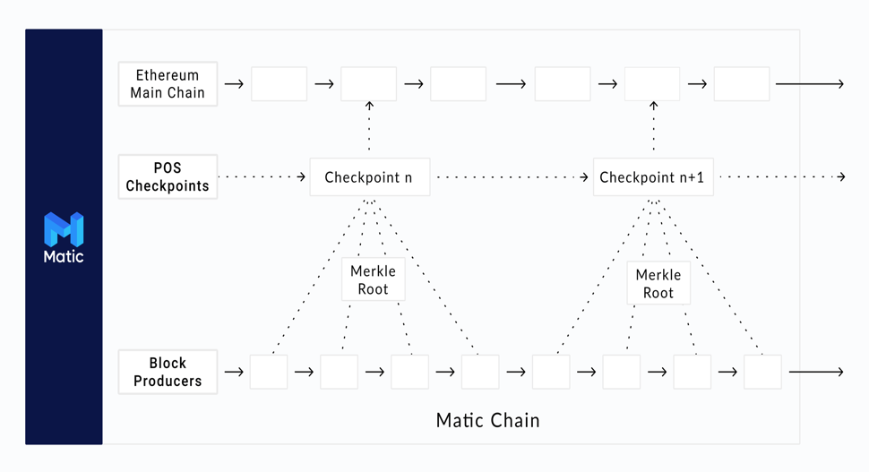 polygon network diagram