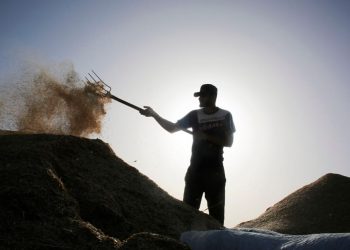 What is Yield Farming?  New concept reflects DeFi craze