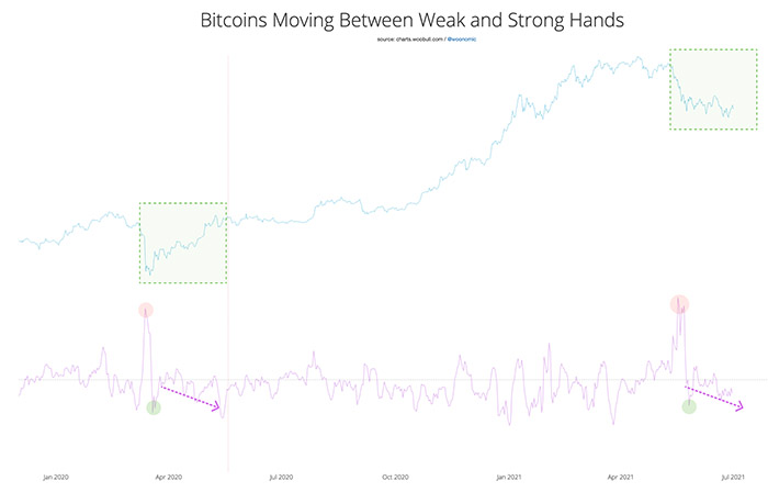 Bitcoin is moving from “weak hands” to “strong people”.  Source: Willy Woo Newsletter