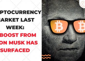 Cryptocurrency industry final week a improve from Elon Musk has surfaced