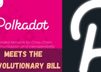 Parity says polkadot is the only protocol that fits the revolutionary bill