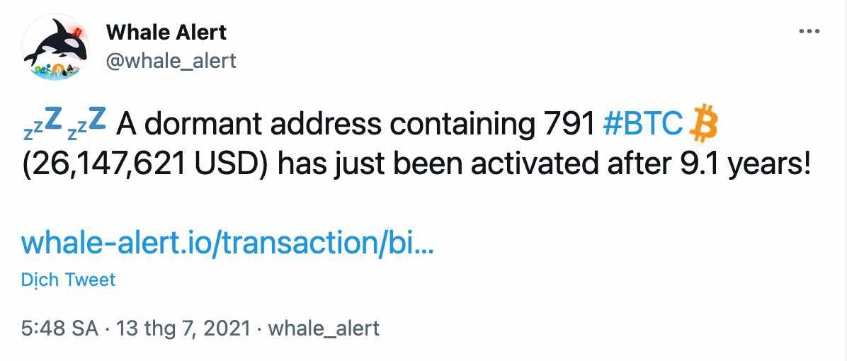 Whale Alert's tweet announces an activated Bitcoin wallet after 9.1 years of downtime.  Screenshots.