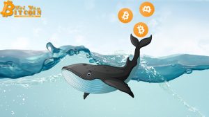 55% of the world's Bitcoin is in the hands of whales