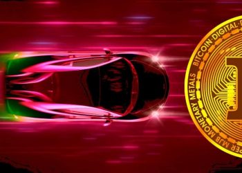 Bitcoin may have influenced the correlation between Tesla and Big Tech