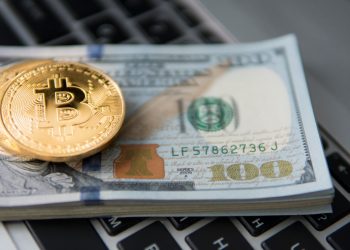 Bitcoin will likely replace fiat money in 20 years