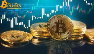 Bitcoin price is in danger of falling